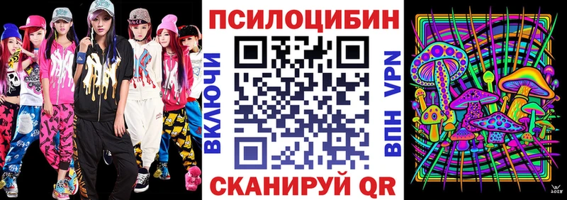 цена   Судак  Галлюциногенные грибы мухоморы 