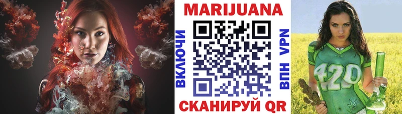 Каннабис OG Kush Судак